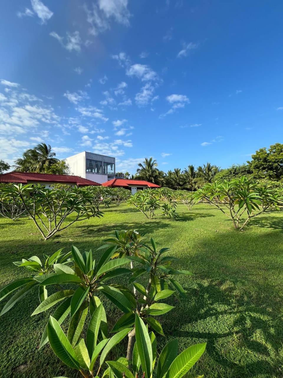 Nn Beach Resort & Spa ニラヴェリ エクステリア 写真